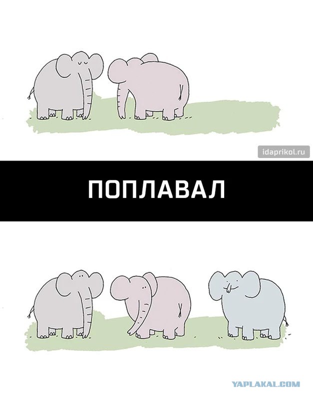 Юмор не для всех