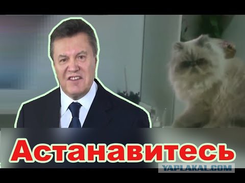 Соцсети - и смех и грех