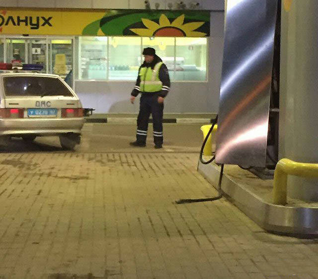 Подборка безудержного веселья