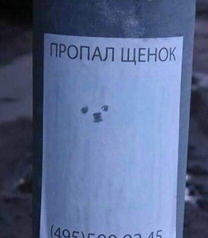 Подборка интересных и веселых картинок