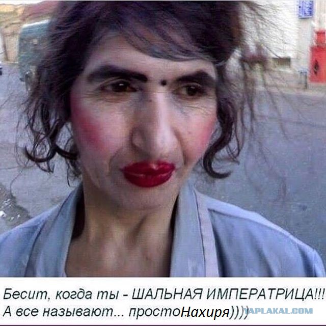 Кадыров позвал россиян на Новый год в Чечню