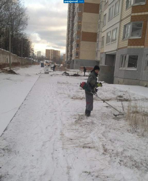 Подборка интересных и веселых картинок
