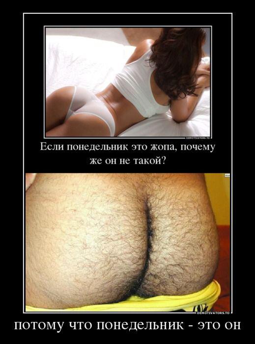 Анекдоты на понедельник, 11.02.2013