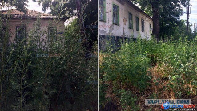 Ряд ценных советов тем, кто только собирается прогуляться в ближайший месяц по центру Москвы