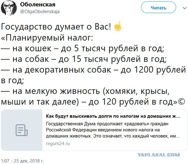Скоро на всех телеэкранах страны