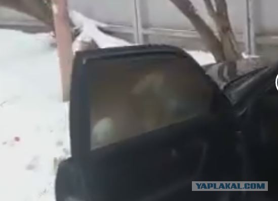 В Калуге ребенок сгорел в машине, где его оставили родители. Они ушли в поликлинику