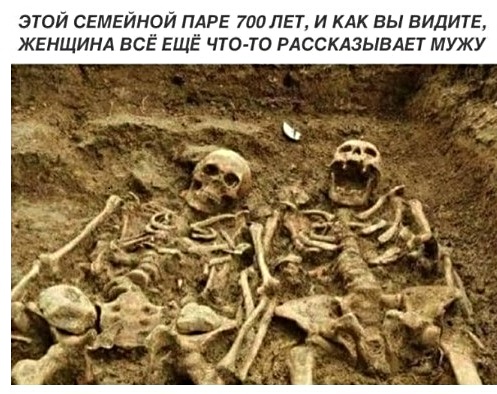 Анекдоты, истории и картинки с надписями