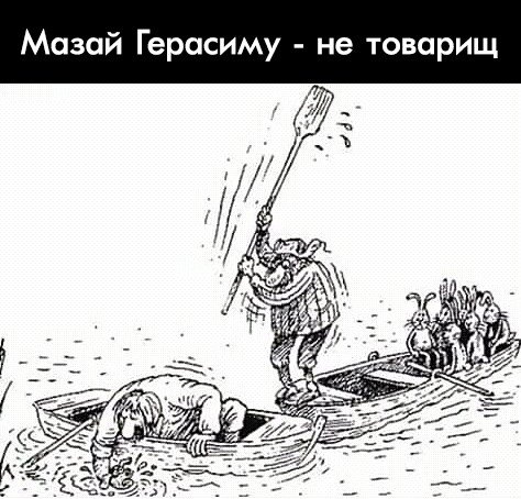Картинки с надписями,истории и анекдоты