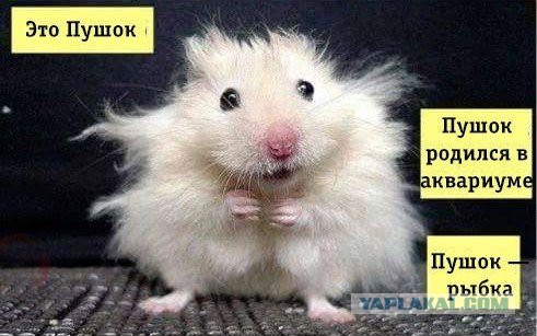 Что нужно сделать, чтобы осчастливить целый район?
