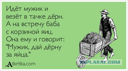 Бюро переводов. "Давай поживём раздельно"