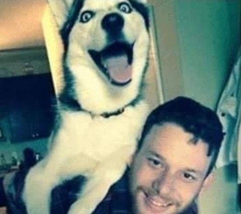 Прикольные фотографии
