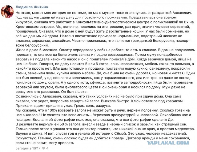 Помогите вернуть кота! Приют "Преданное сердце" украл кота и не отдает!-2