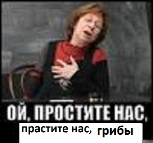 Власти взяли под контроль сбор грибов, ягод и берёзового сока