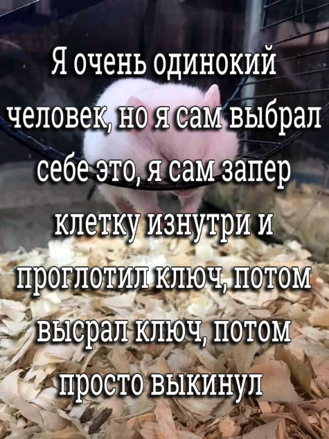 Здесь вам не рады