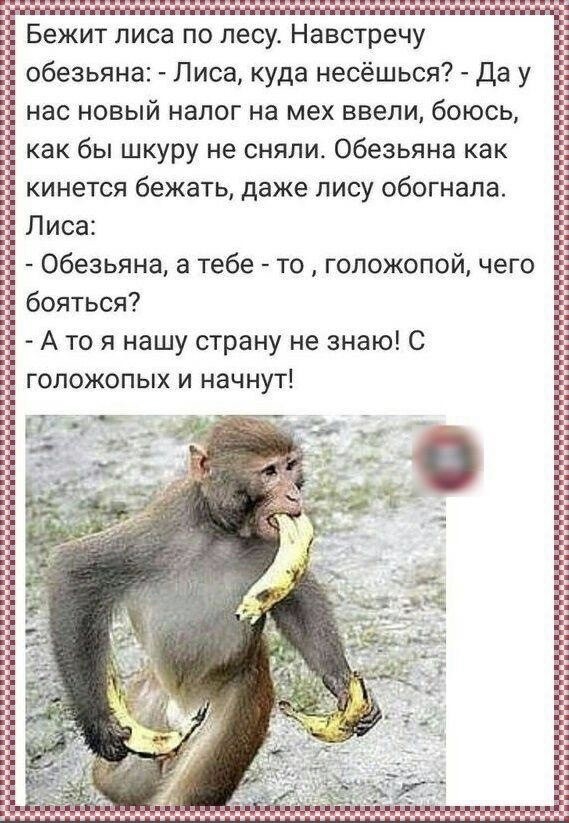 Белая зарплата. Расчеты от реального работодателя