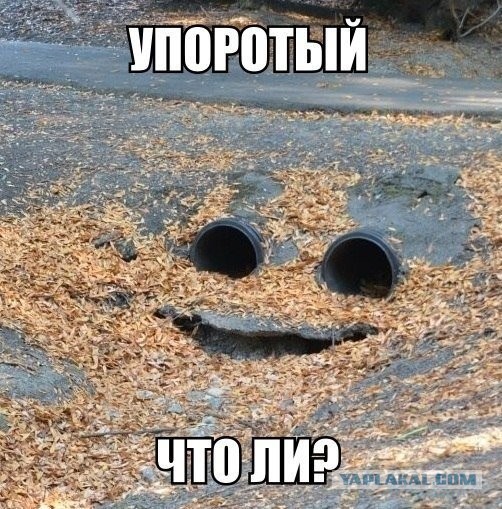 Веселый самолет 747