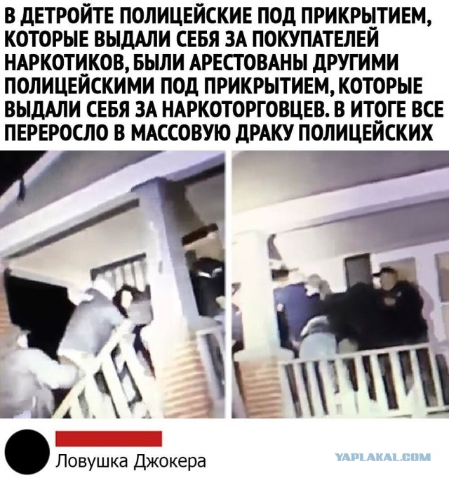 Так себе картинки #13