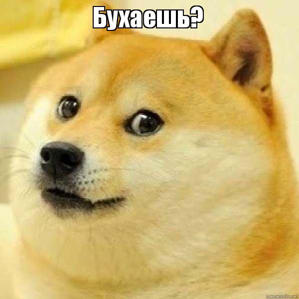 «Идеология: защищать власть любыми средствами». Подполковник милиции — о подготовке к выборам и избиениях