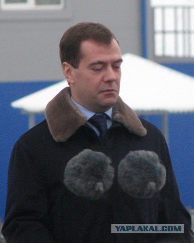 Фотожаба: Кто мои бубончики оторвал?!