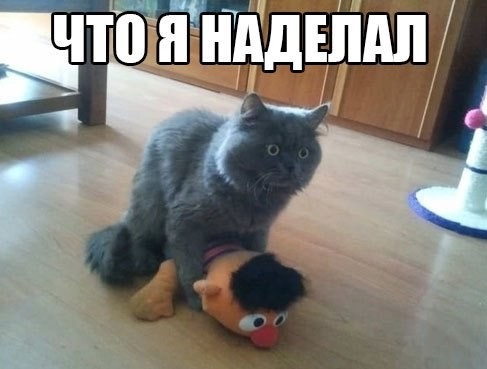 Декабрьский пикчемёт