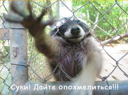 В нашем доме поселился замечательный сосед
