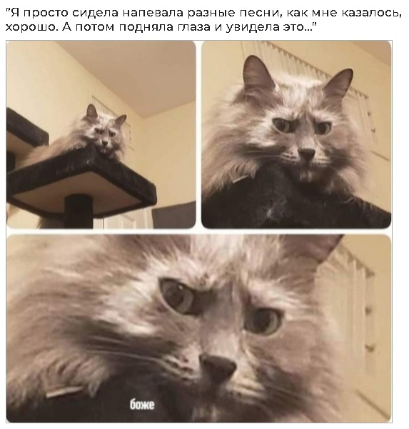 Бредзона 21.03.2021