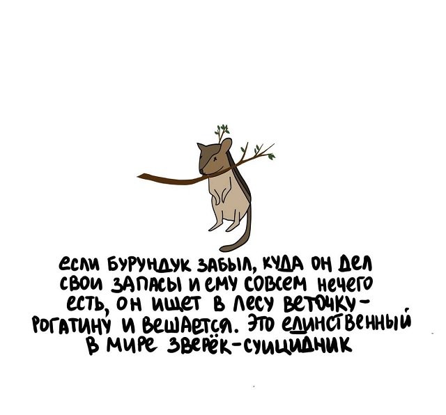 Картинки всякие и аморальные - 7
