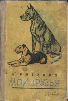 Книги, которые хочется перечитывать