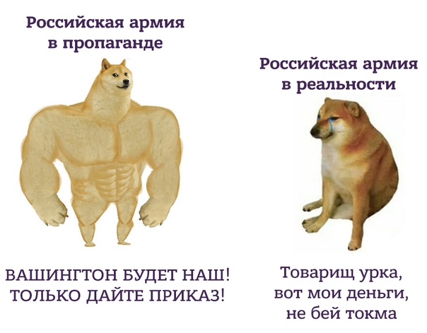В Люберцах двое контрактников чуть не зарезали двух незнакомых девушек. Они просто сделали парням замечание