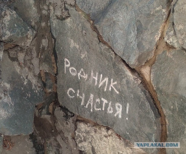 Это у Вас кошкины вторники и собачкины четверги, а ко мне белочка пришла