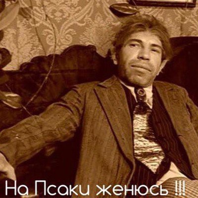 Кошачье сердце