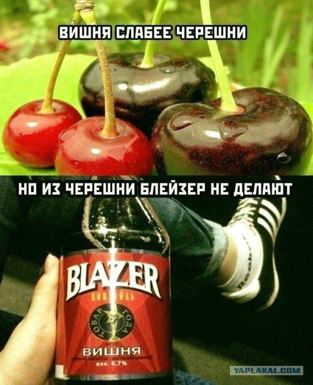 Картинки аморальные и всякие разные - 30