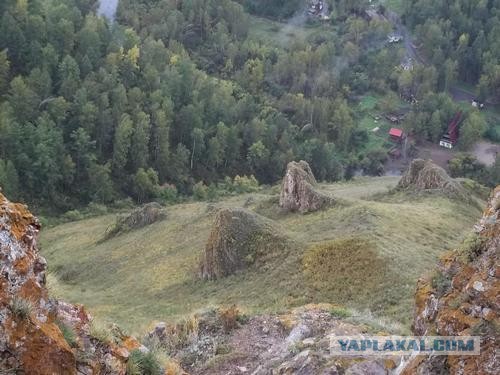 Красноярская тайга