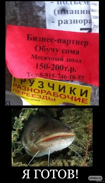 Семейная пара напала на подростков, сидящих на скамейке на улице рядом с таунхаусом нервных супругов