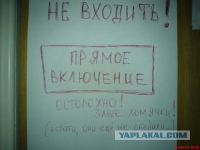 Игра в слова с фотографиями