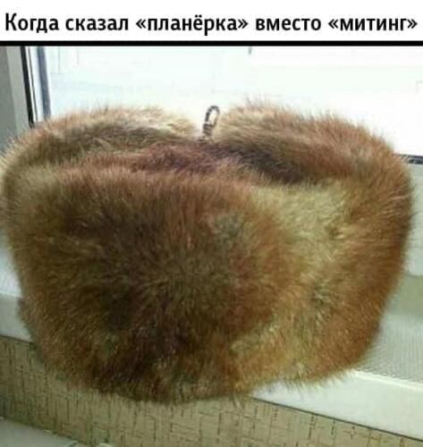 ИТ и около ИТ-шный юмор
