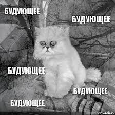 Что значит любить свою жену?
