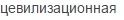 Сегодня 13 лет