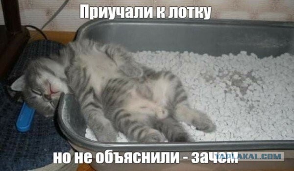 Прикольные и просто красивые картинки 21.02.2023