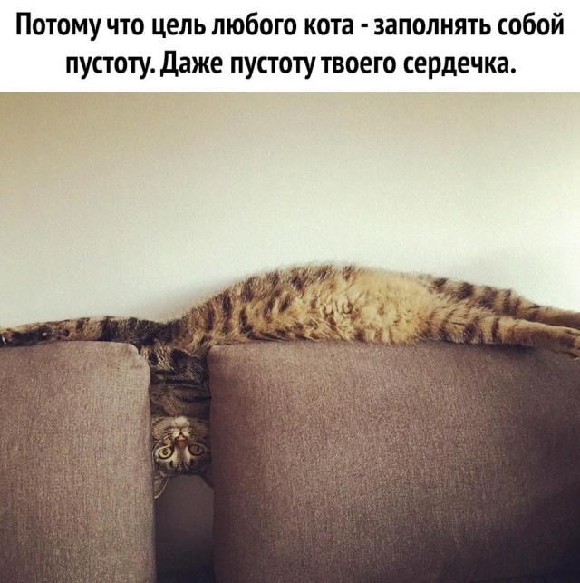 Немного картинок для настроения - 153