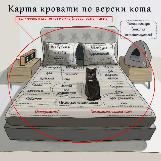 Картинки и мемы для настроения - 131