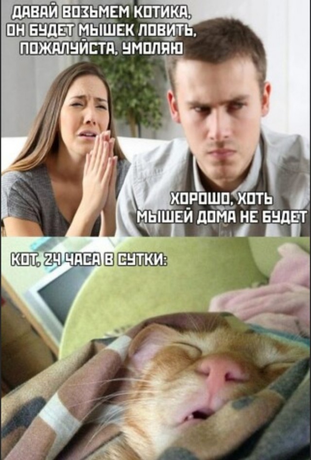 Картинки и мемы, всяко разно - 175