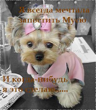 Postsecret - Расскажи свой секрет