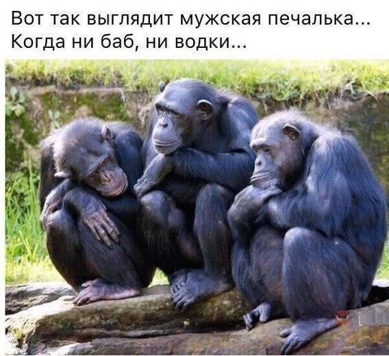 Холостяцкое