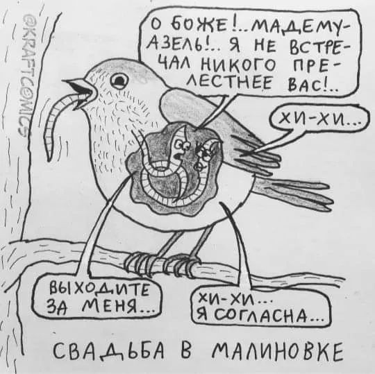 Так себе картинки 10.04.24