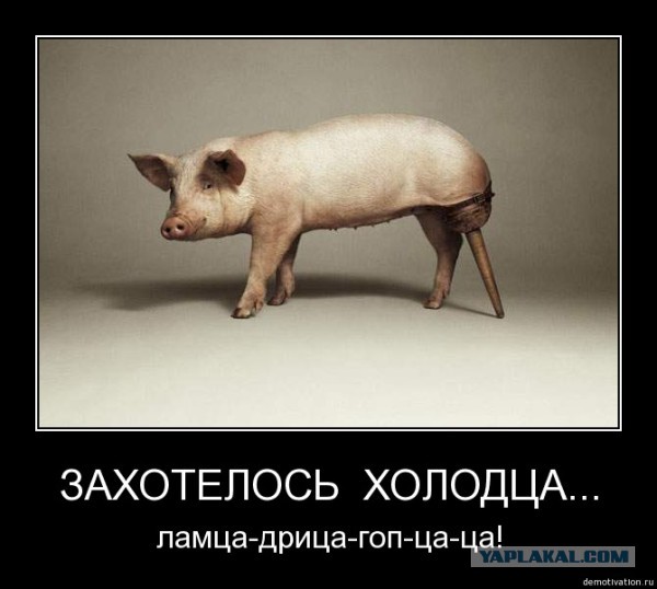 Живой пример глобализации