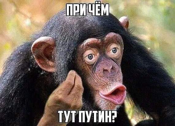 Уникальный мозг Путина