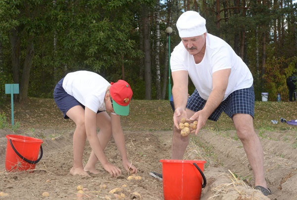 Урожай