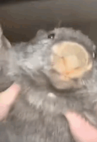 Активизировалась секретная радиостанция Генштаба:УВБ-76 вышла в эфир