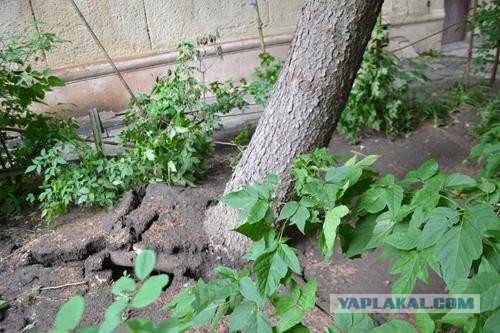 Ураган в Одессе
